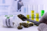 Cannabis derived medicinal products image