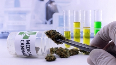 Cannabis derived medicinal products image